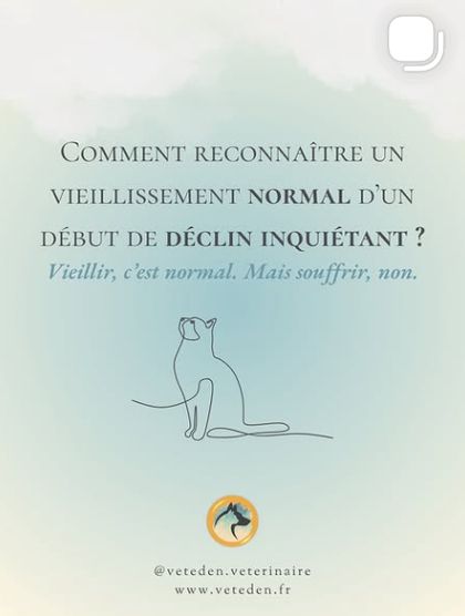 Carrousel sur le vieillissement normal et le déclin inquiétant