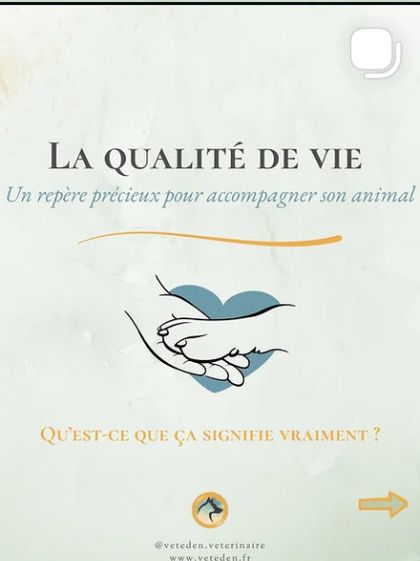 Carrousel sur la qualité de vie de l’animal