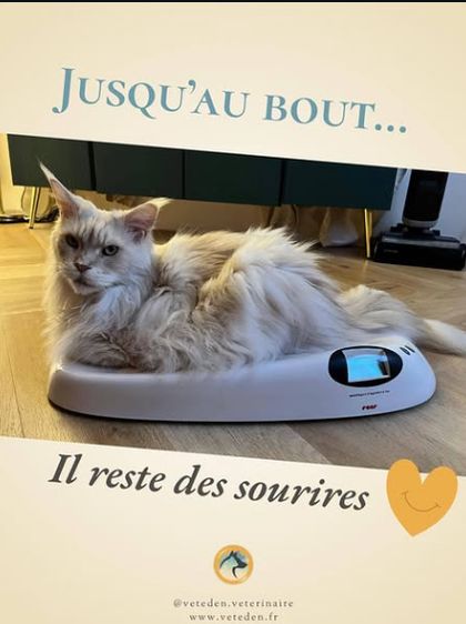 Série Jusqu’au bout, il reste des sourires