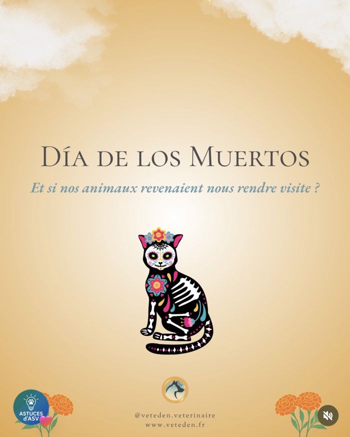 Carrousel Día de los Muertos